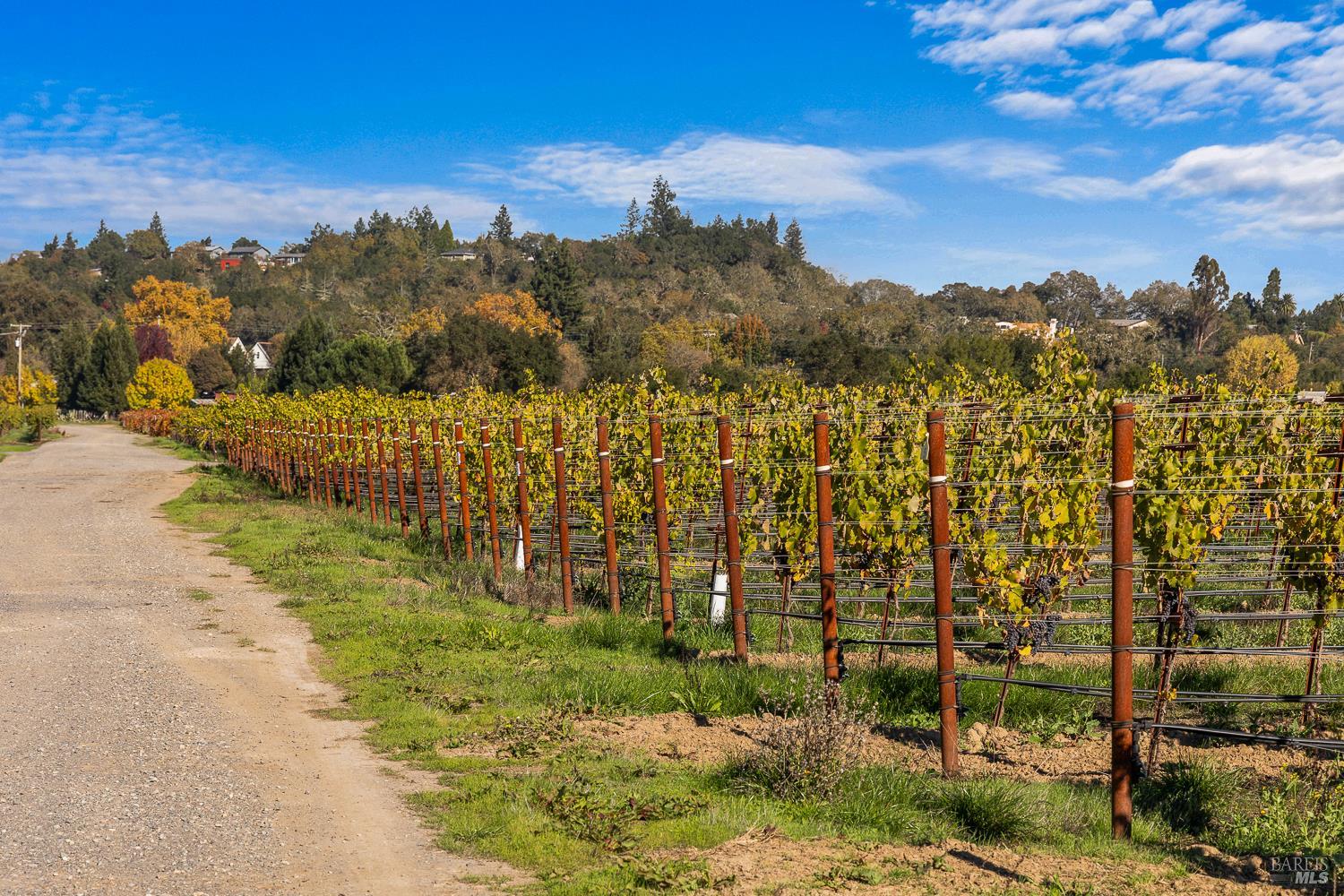 636 Dry Creek Road Healdsburg CA 95448