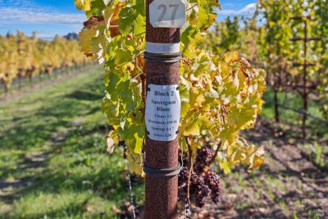 636 Dry Creek Road Healdsburg CA 95448