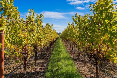 636 Dry Creek Road Healdsburg CA 95448