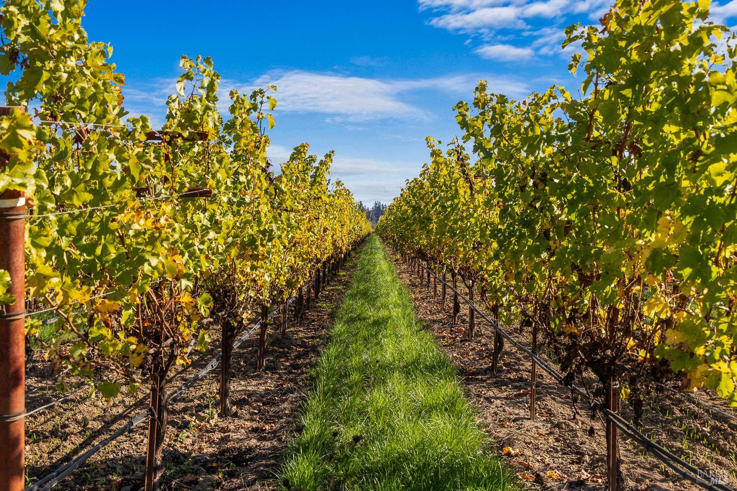 636 Dry Creek Road Healdsburg CA 95448
