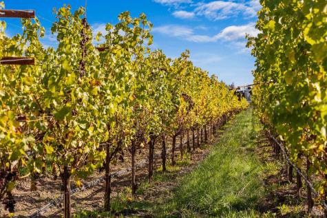 636 Dry Creek Road Healdsburg CA 95448