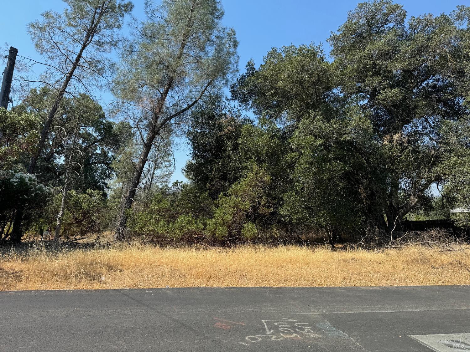 3049 Wolf Creek Road Clearlake Oaks CA 95423