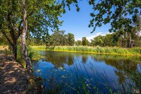 20780 8th Street E Sonoma CA 95476