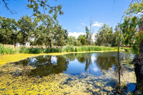 20780 8th Street E Sonoma CA 95476