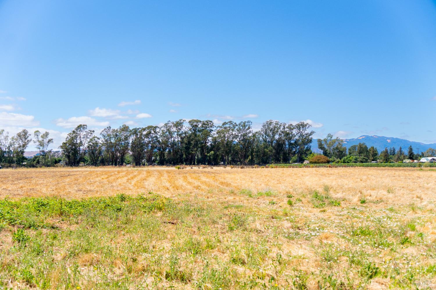 20780 8th Street E Sonoma CA 95476