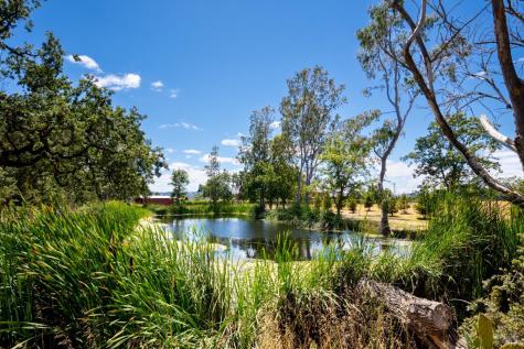 20780 8th Street E Sonoma CA 95476