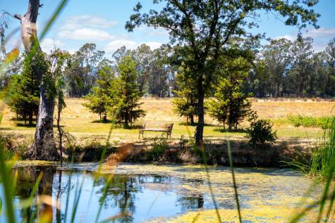 20780 8th Street E Sonoma CA 95476