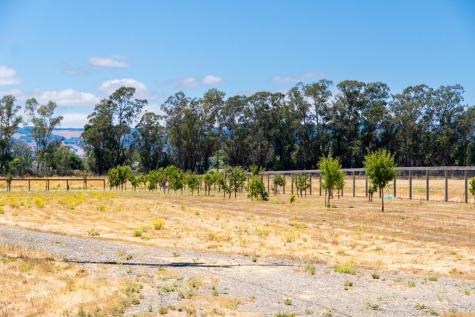 20780 8th Street E Sonoma CA 95476