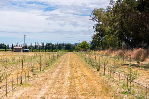 20780 8th Street E Sonoma CA 95476