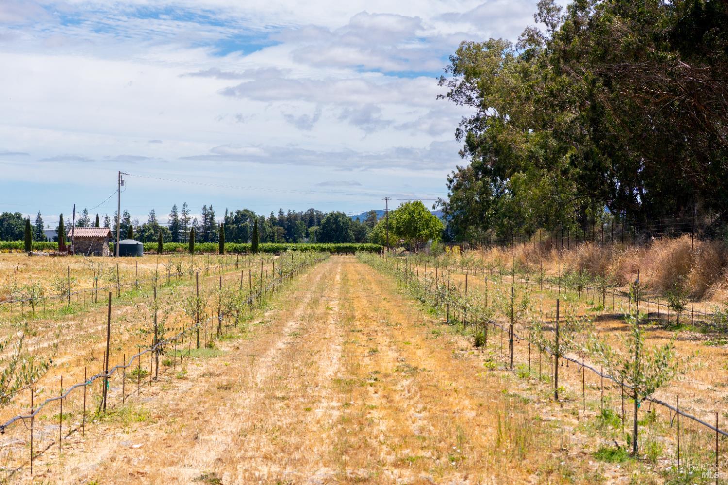 20780 8th Street E Sonoma CA 95476