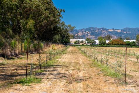 20780 8th Street E Sonoma CA 95476