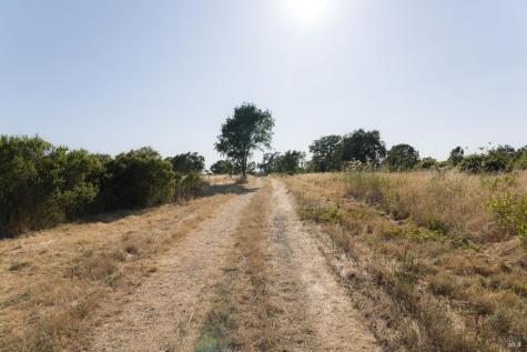 2220 Oakwild Lane Santa Rosa CA 95401