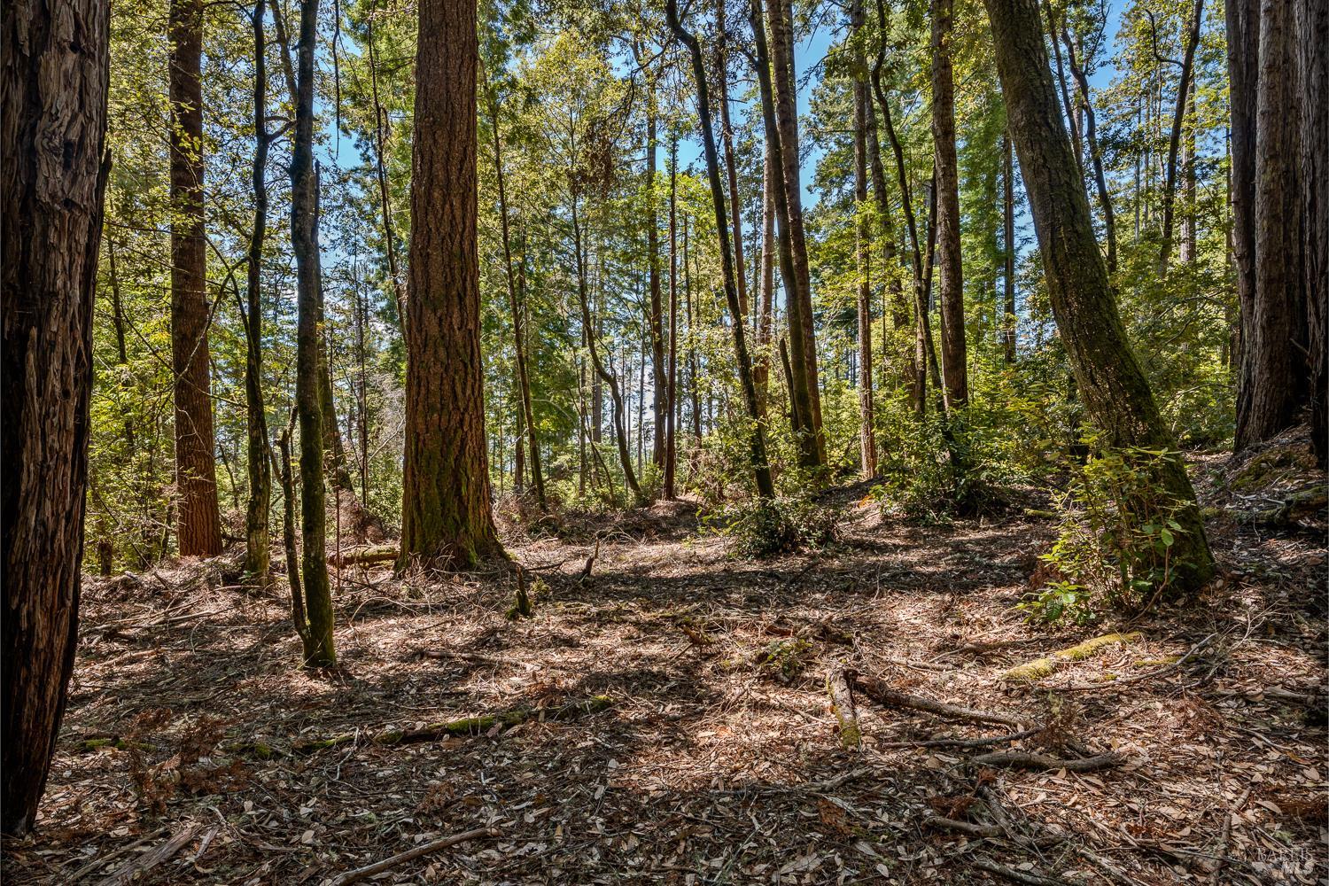 0 Tickled Pink Drive Gualala CA 95445