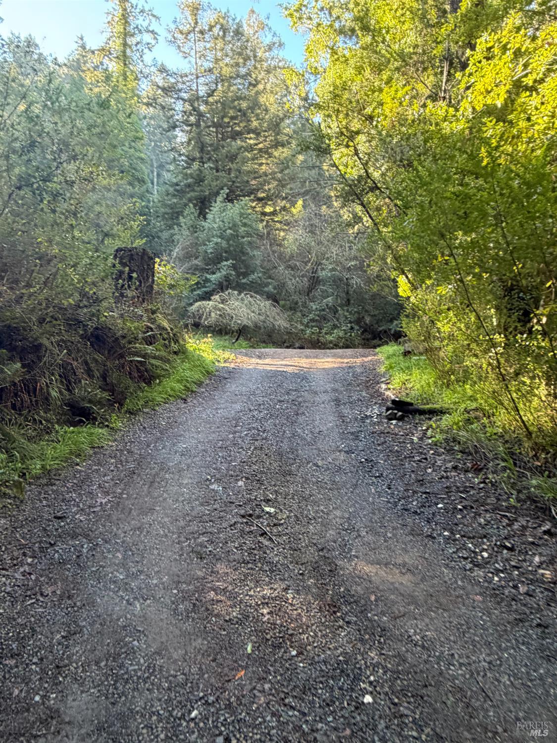 136 Lagunitas Road Lagunitas CA 94938