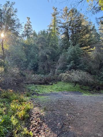 136 Lagunitas Road Lagunitas CA 94938