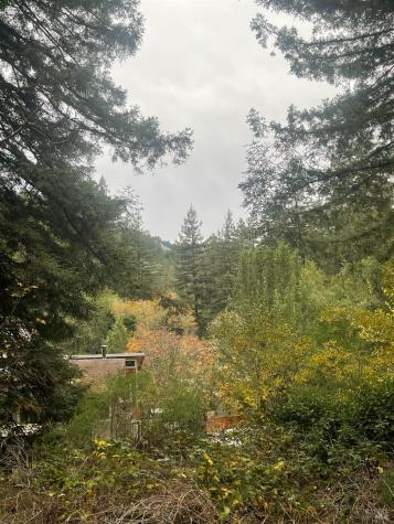 136 Lagunitas Road Lagunitas CA 94938