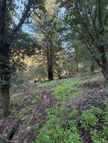 136 Lagunitas Road Lagunitas CA 94938