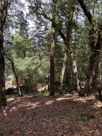 9868 Hillside Drive Forestville CA 95436