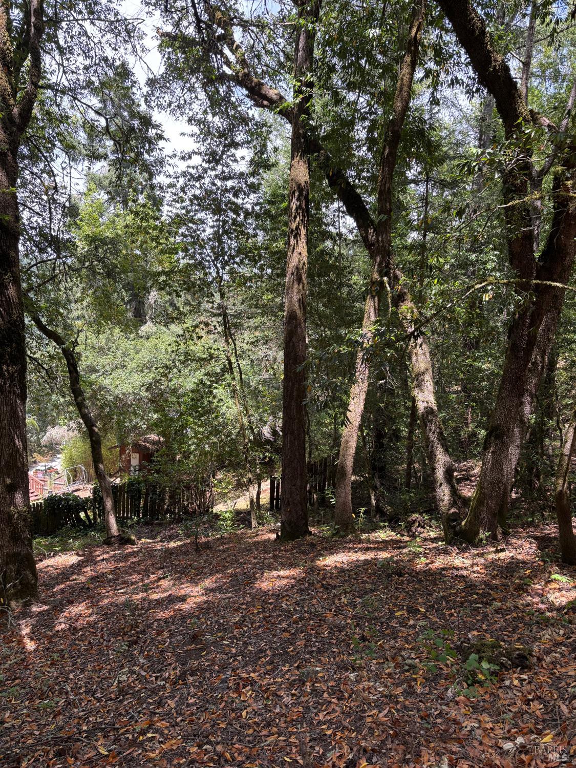 9868 Hillside Drive Forestville CA 95436