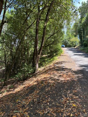 9868 Hillside Drive Forestville CA 95436