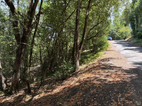 9868 Hillside Drive Forestville CA 95436