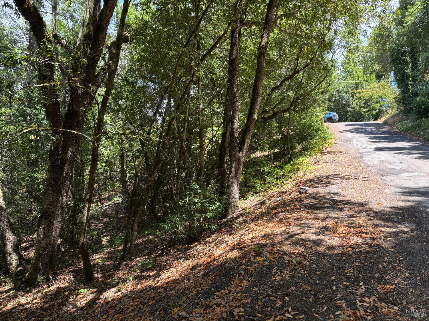 9868 Hillside Drive Forestville CA 95436