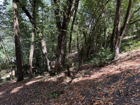 9868 Hillside Drive Forestville CA 95436