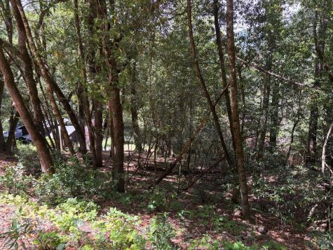 9868 Hillside Drive Forestville CA 95436