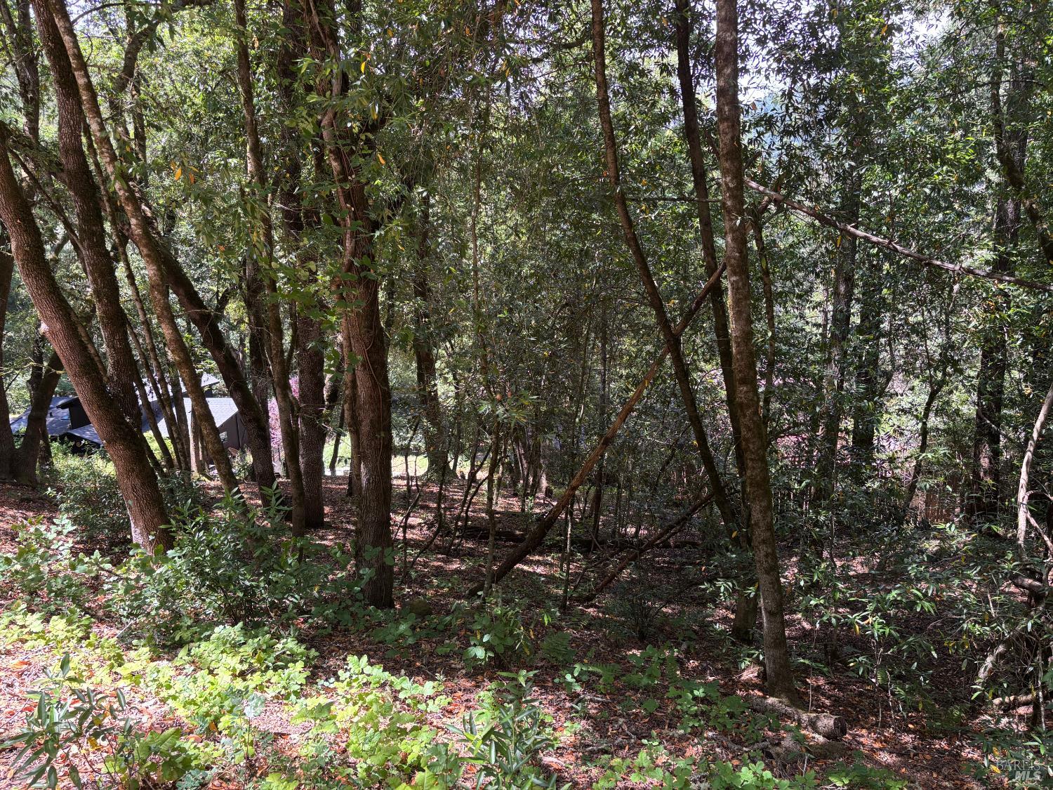 9868 Hillside Drive Forestville CA 95436