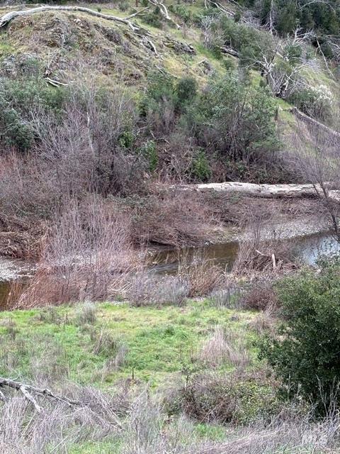 12803 Tomki Road Redwood Valley CA 95470