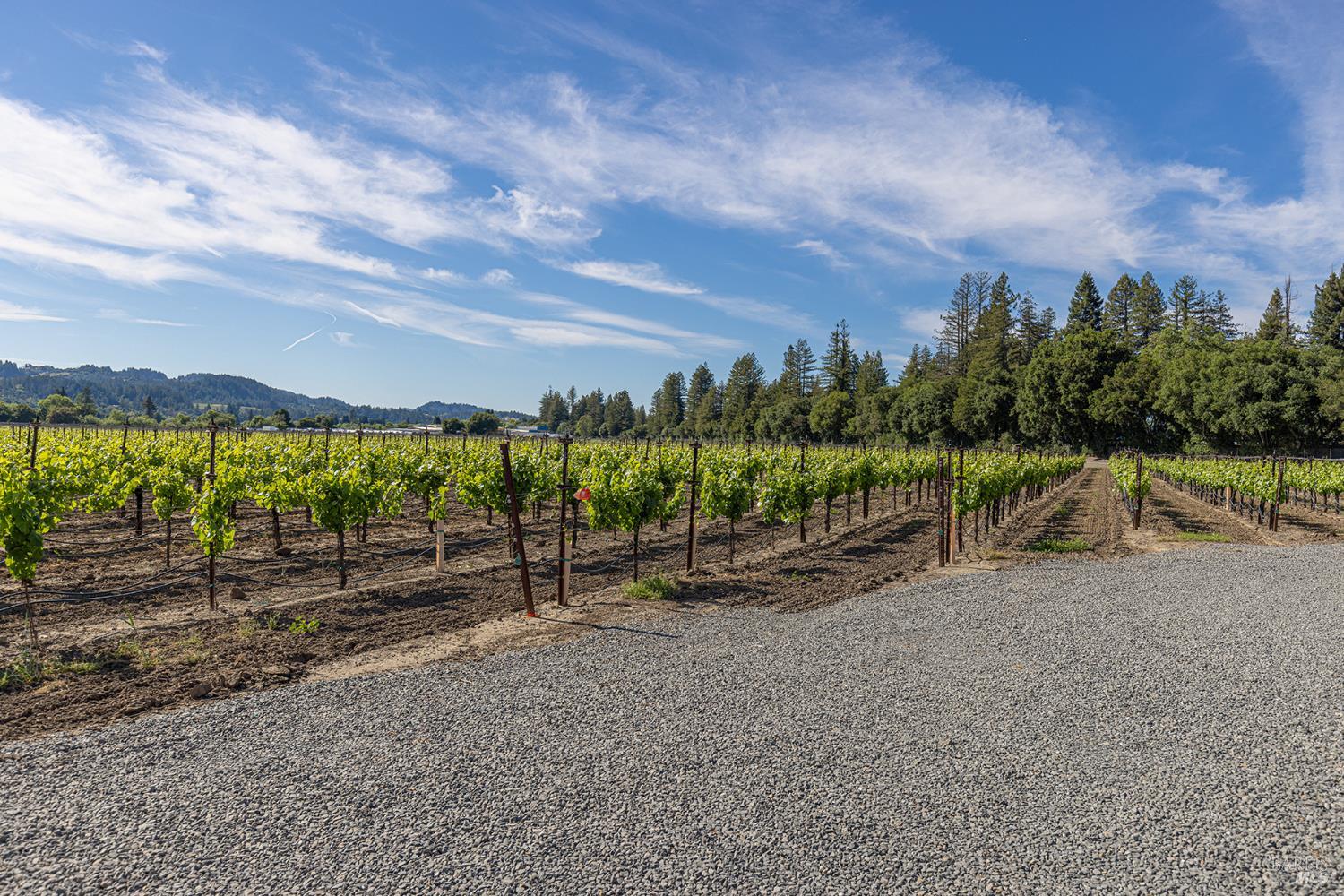 390 Magnolia Drive Healdsburg CA 95448