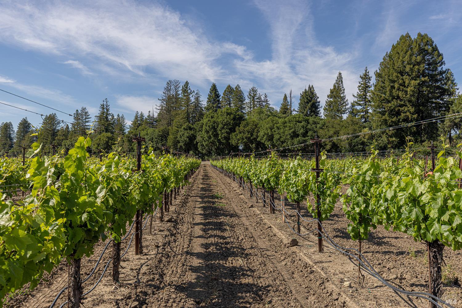390 Magnolia Drive Healdsburg CA 95448