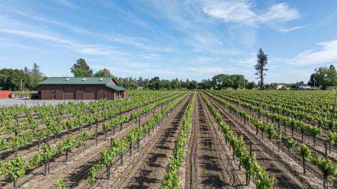 390 Magnolia Drive Healdsburg CA 95448