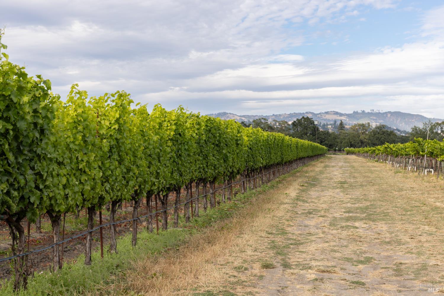0 River Road Fulton CA 95439