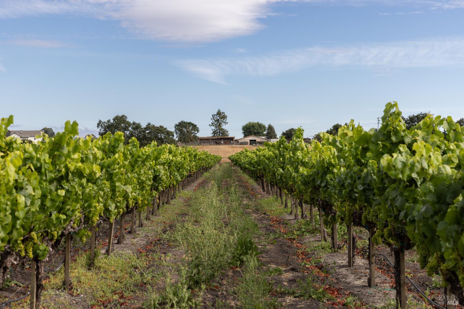 0 River Road Fulton CA 95439