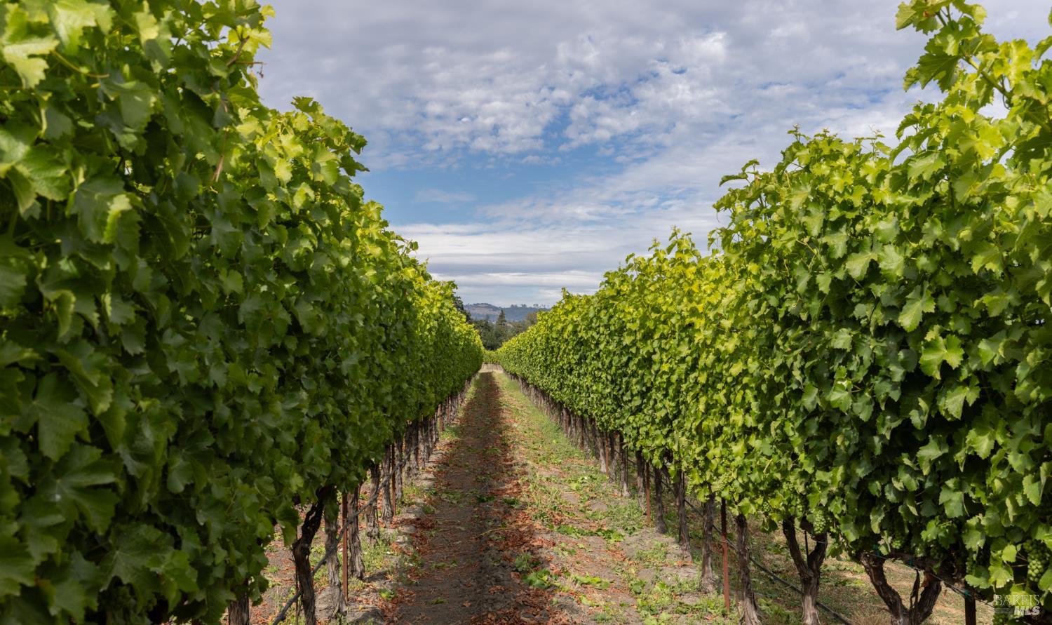 0 River Road Fulton CA 95439
