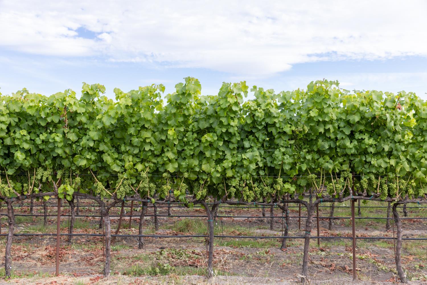 0 River Road Fulton CA 95439