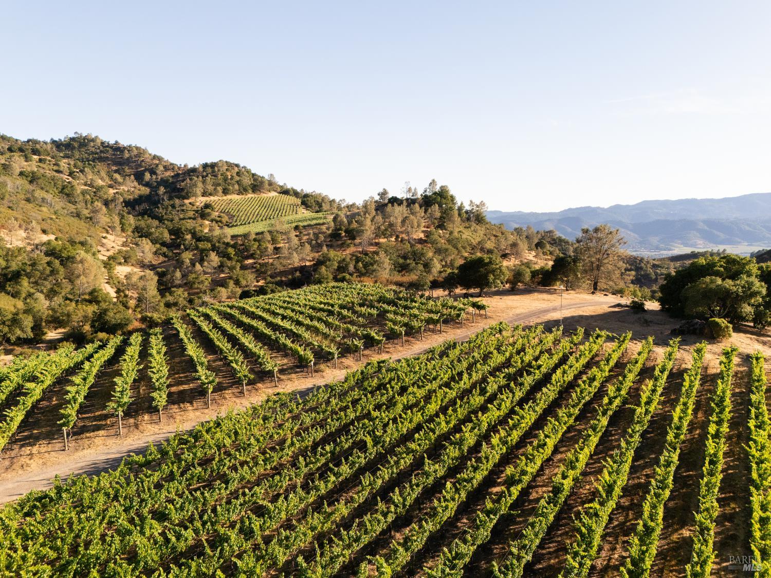 3231 Soda Canyon Road Napa CA 94558