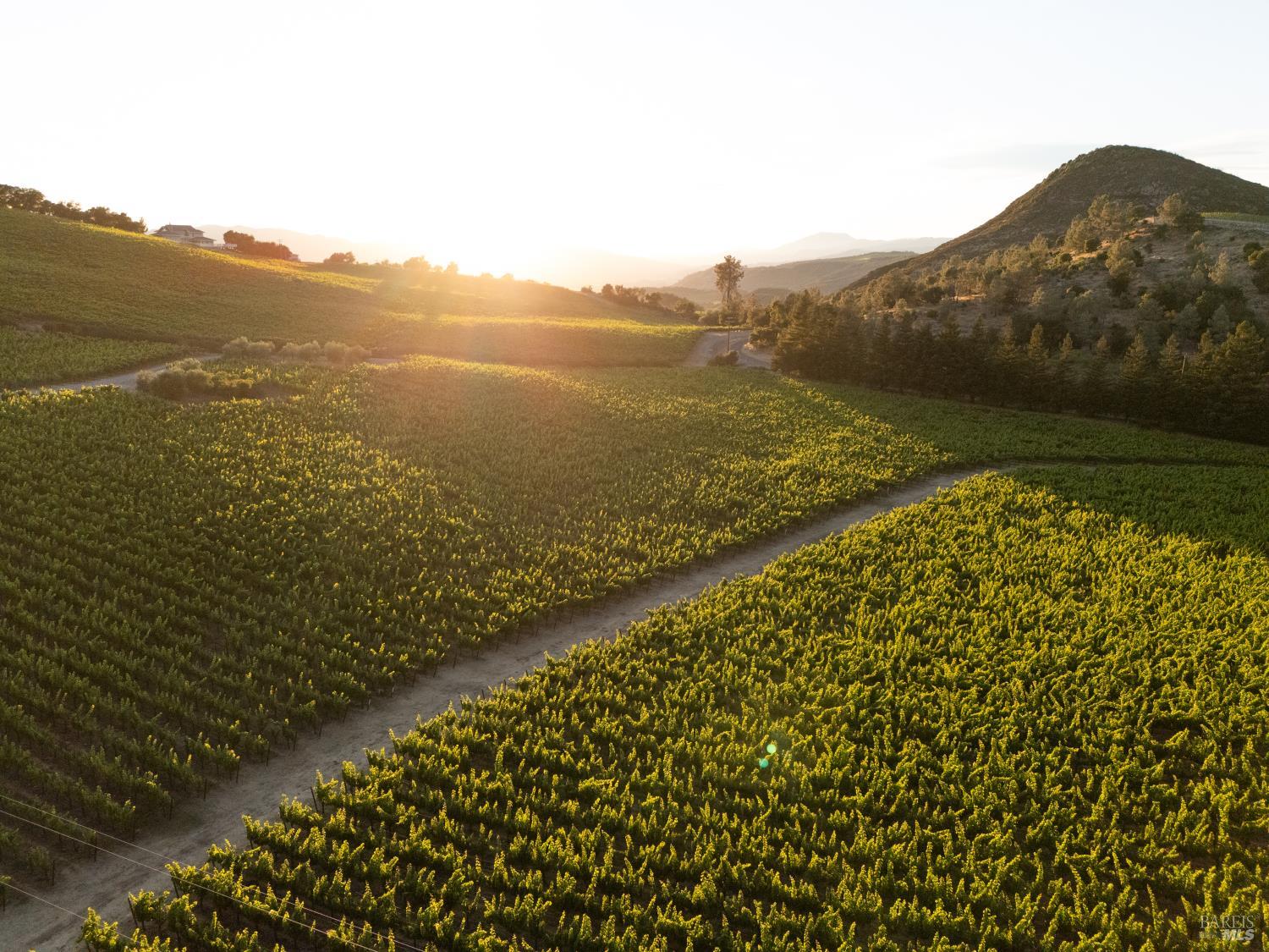 3231 Soda Canyon Road Napa CA 94558