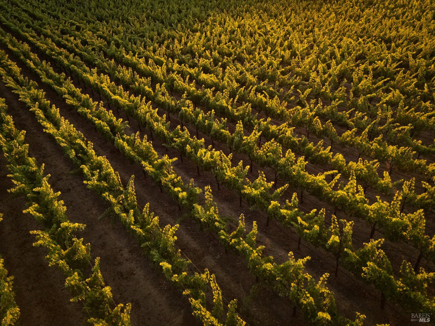 3231 Soda Canyon Road Napa CA 94558