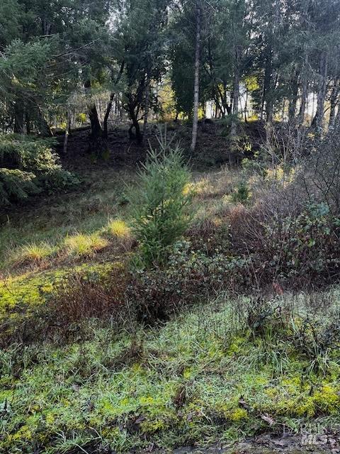 24583 Cypress Drive Willits CA 95490