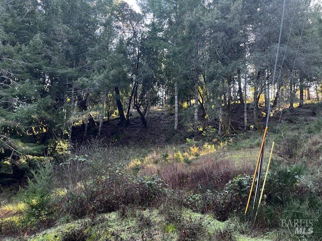 24583 Cypress Drive Willits CA 95490