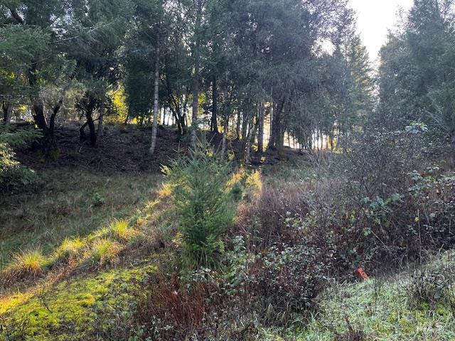 24583 Cypress Drive Willits CA 95490