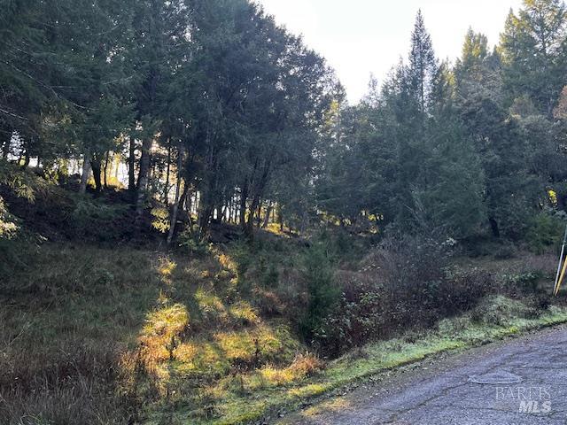 24583 Cypress Drive Willits CA 95490