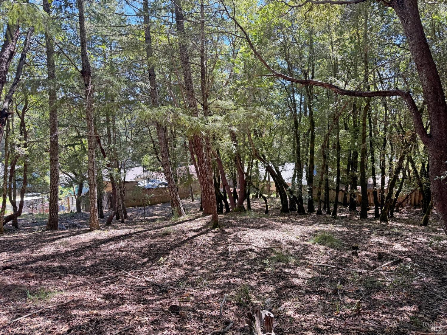 2076 Buckeye Road Willits CA 95490