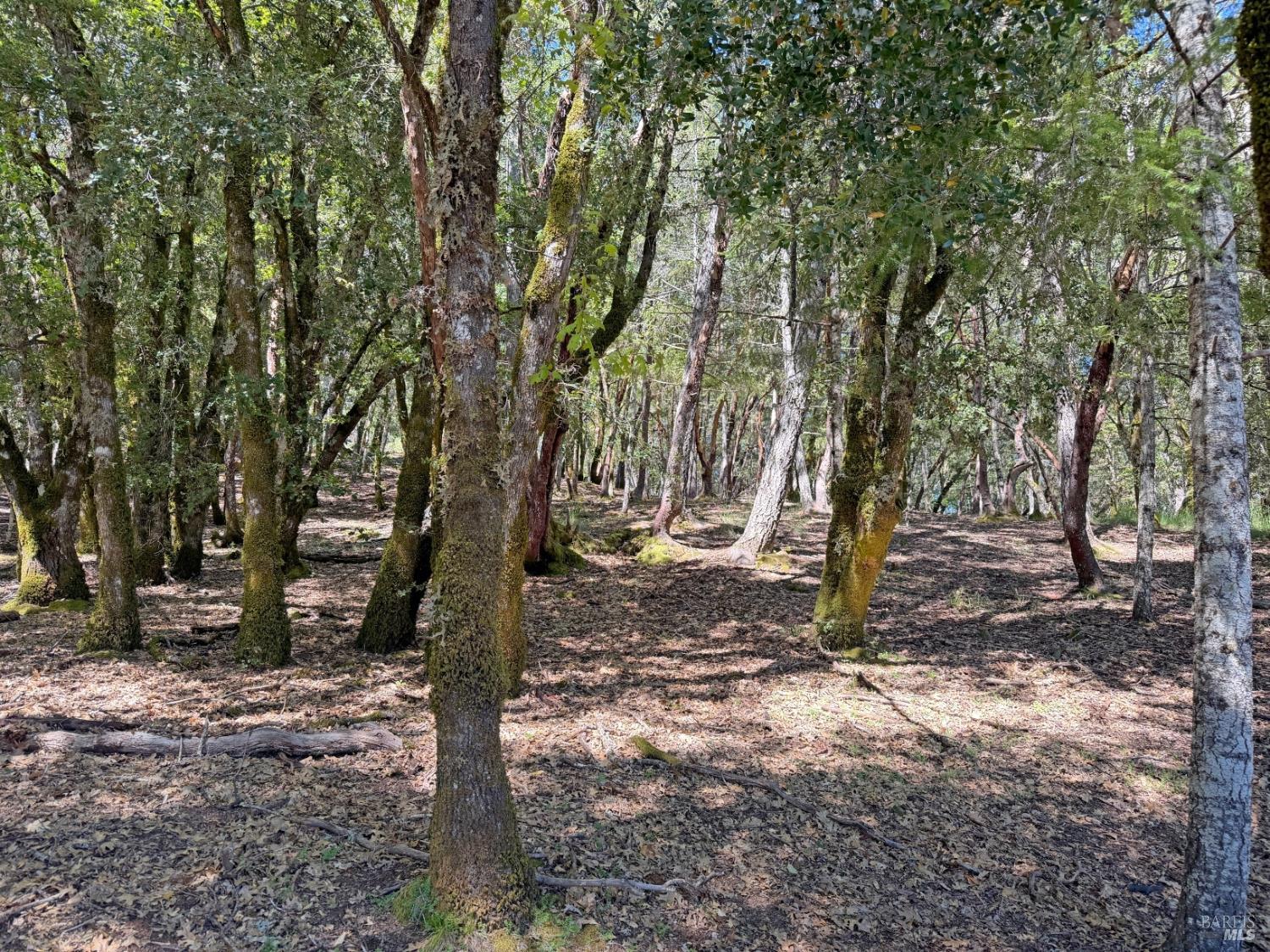 2076 Buckeye Road Willits CA 95490
