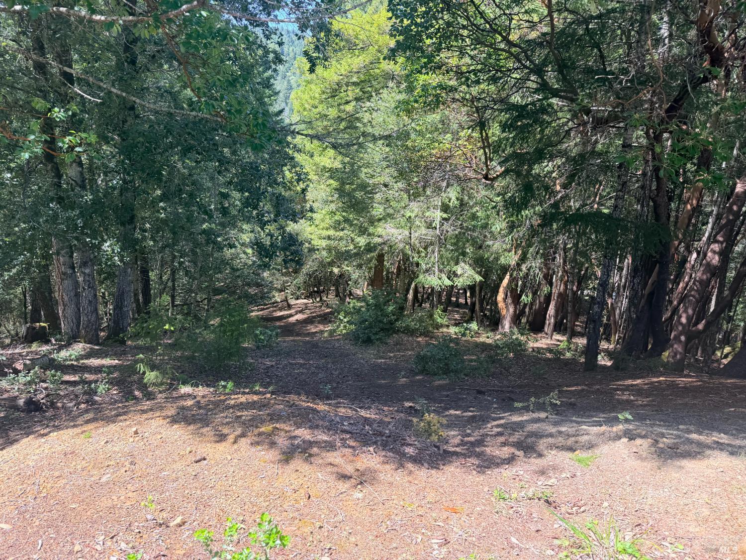 24193 Willow Lane Willits CA 95490