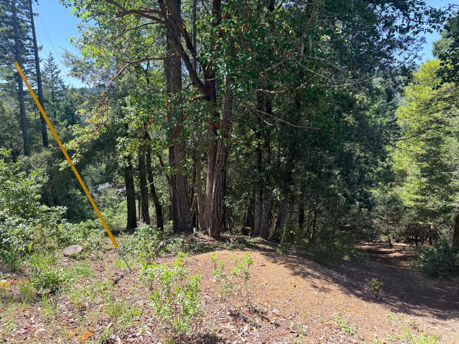 24193 Willow Lane Willits CA 95490