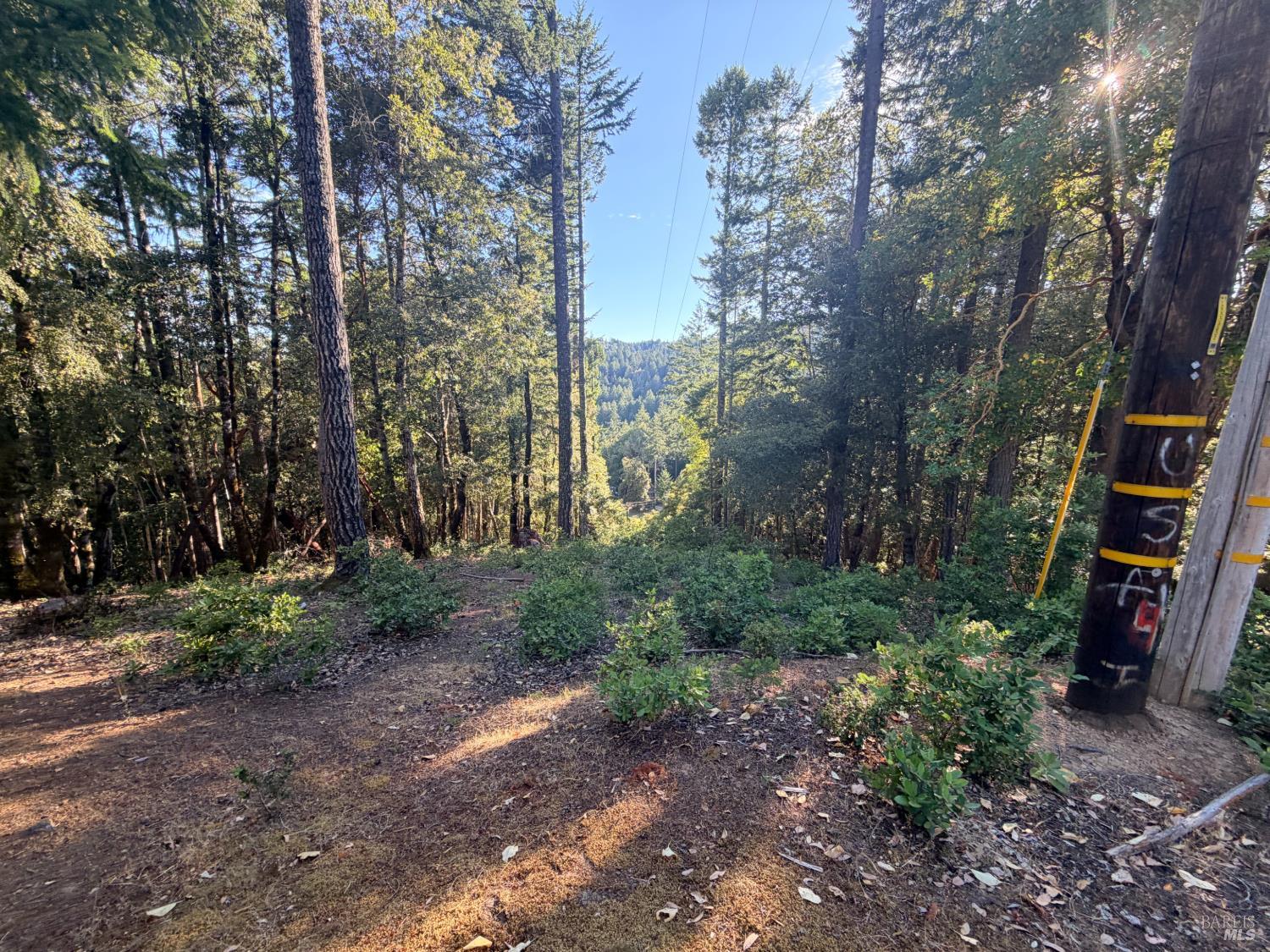 24193 Willow Lane Willits CA 95490