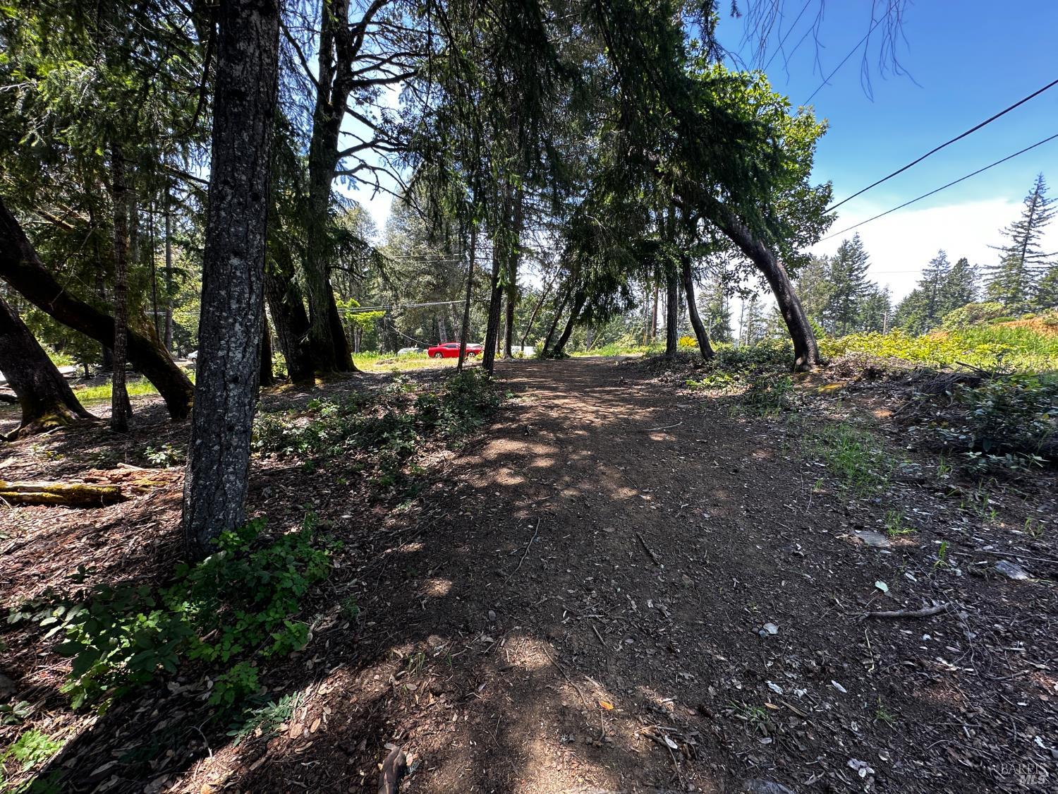 25895 Madrone Drive Willits CA 95490